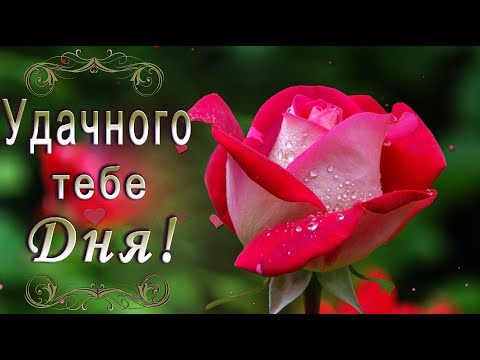 САМЫЕ КРАСИВЫЕ ПОЖЕЛАНИЯ ХОРОШЕГО 