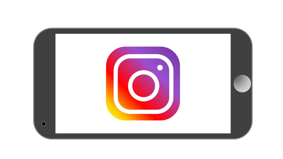 Instagram Logo Icône