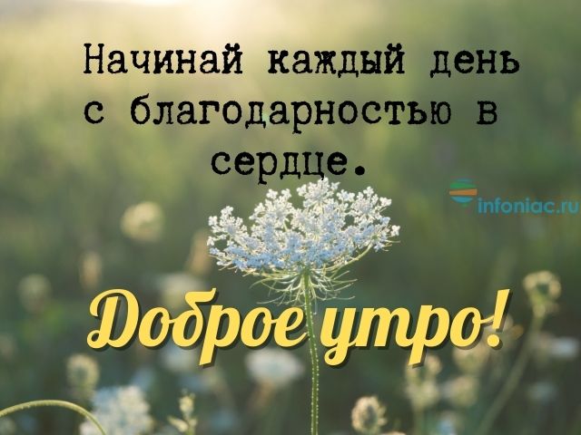 Доброе утро мужчине