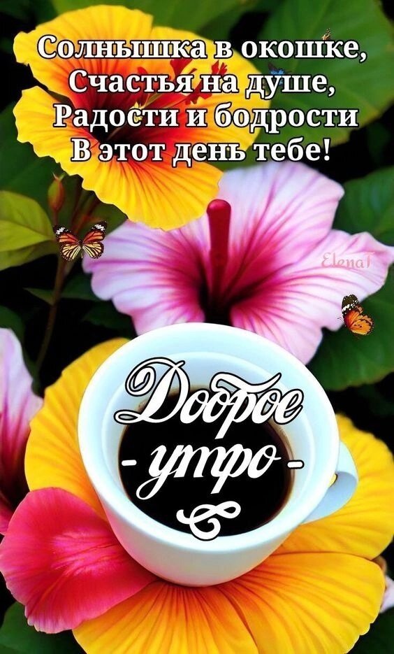 🍃🌞 ДОБРОЕ УТРО, ДРУЗЬЯ! 🌞🍃 Друзья мои 