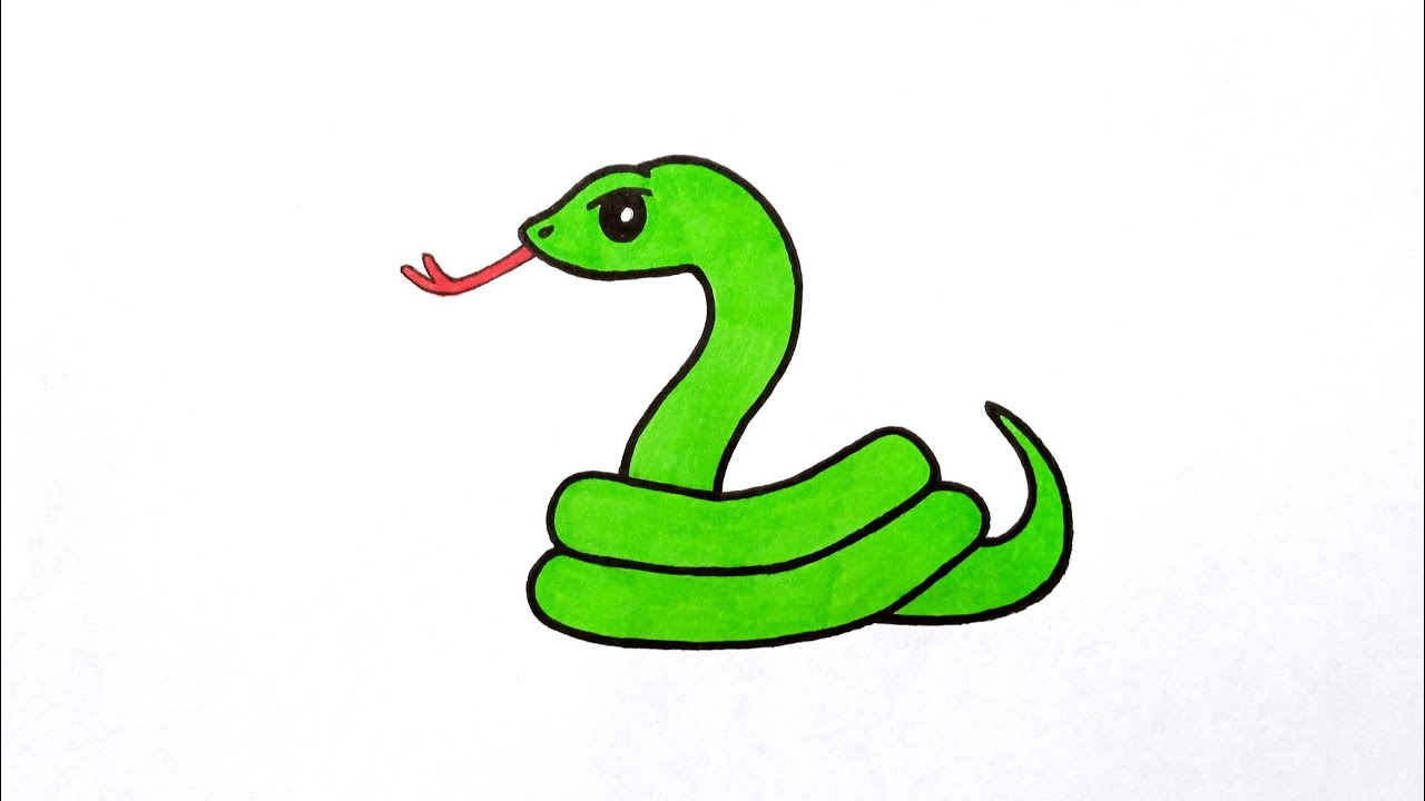 Cute Cobra Snake Cartoon 