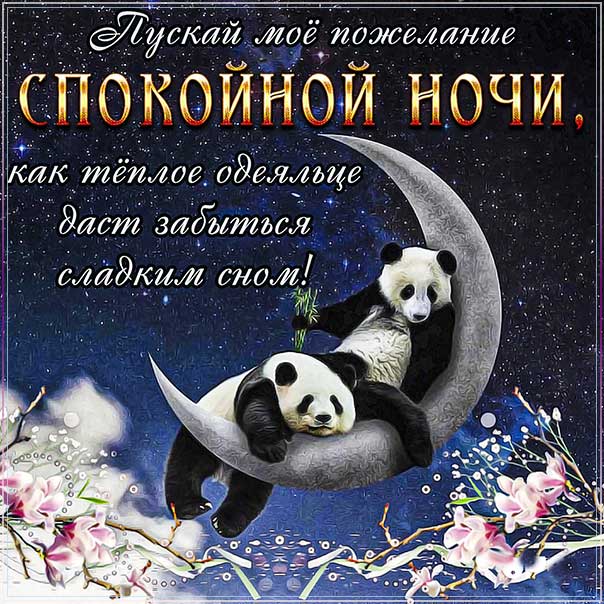 Доброй ночи, сладких снов