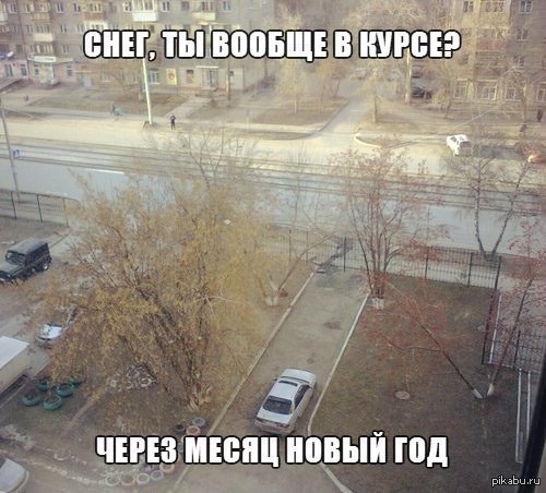 Юмор каждый день