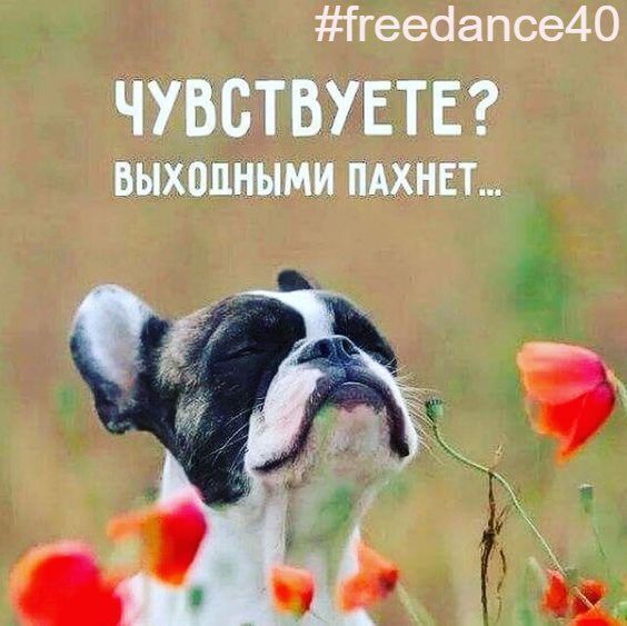 Всех с пятницей! Хороших выходных! / Натали Натали