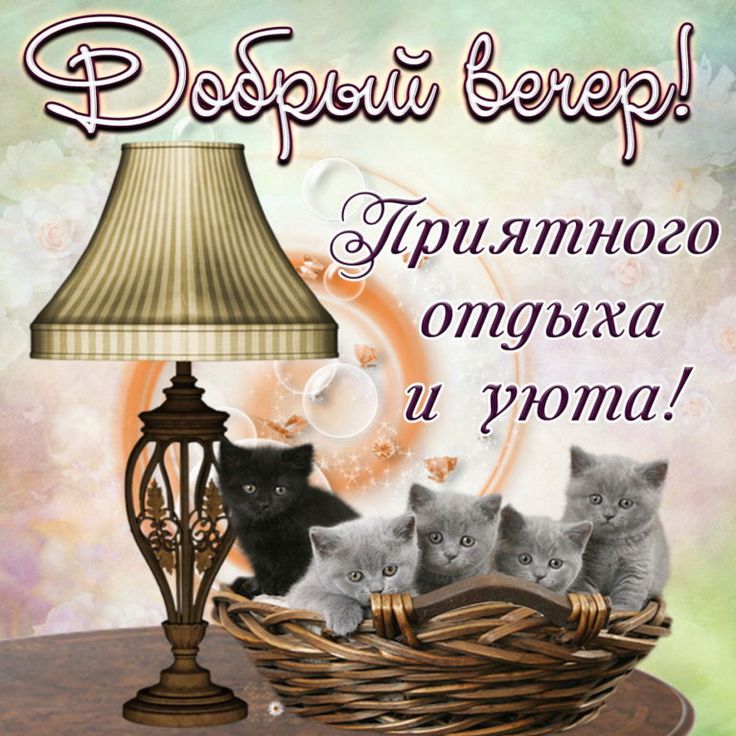 🌹Добрый вечер! 🌙 