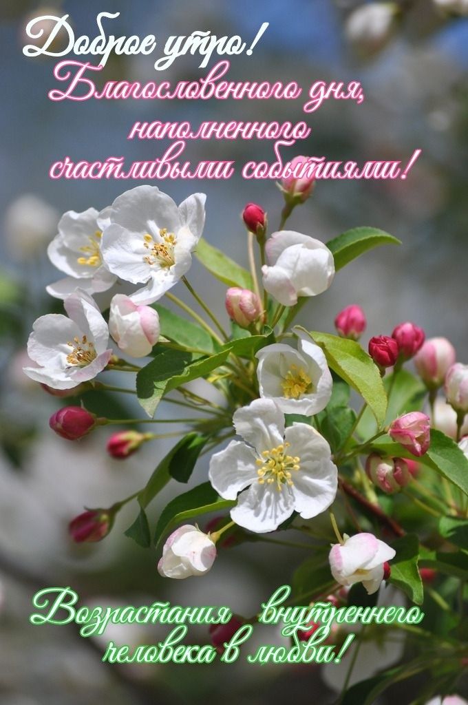 ДОБРОЕ УТРО!!! ☀️🌹🕊️ Христианское 