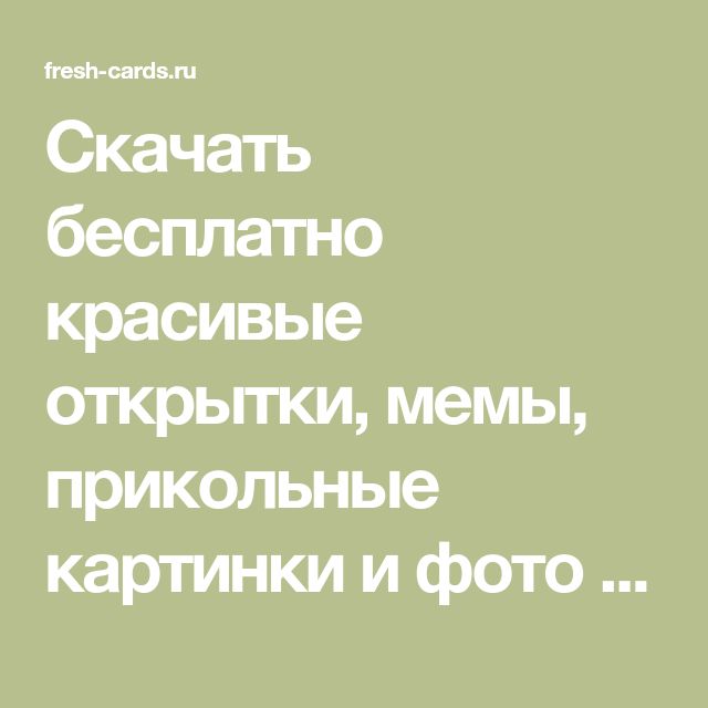 Смешные картинки Приколы с надписями на все случаи жизни 