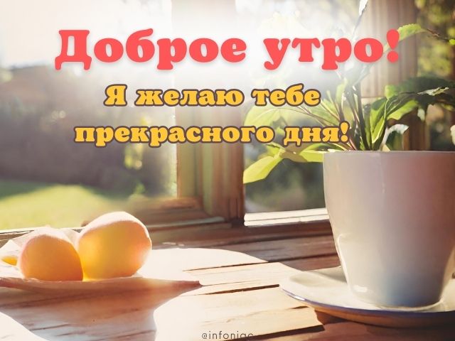 Доброе утро — картинки