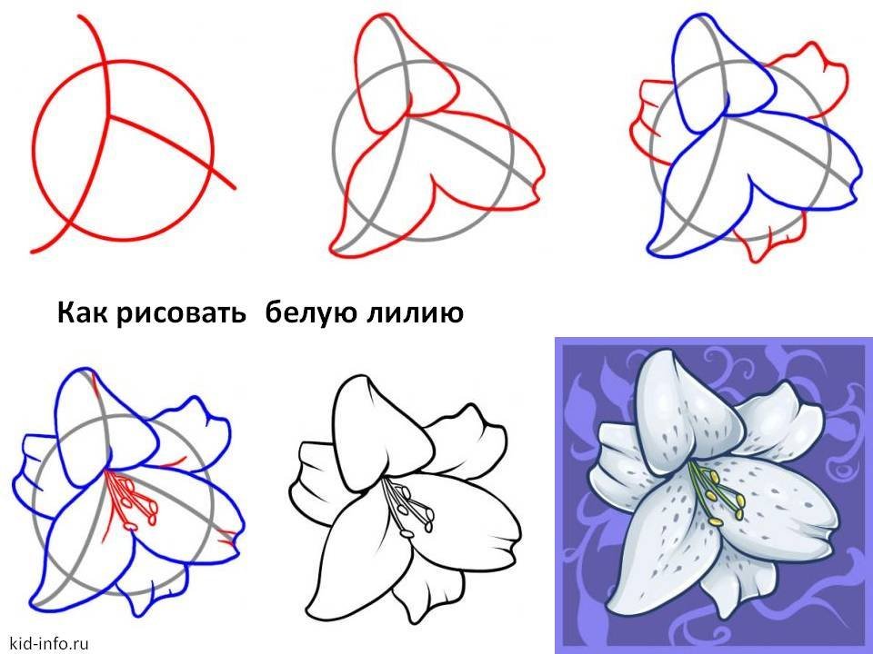 Маленькая роза для срисовки