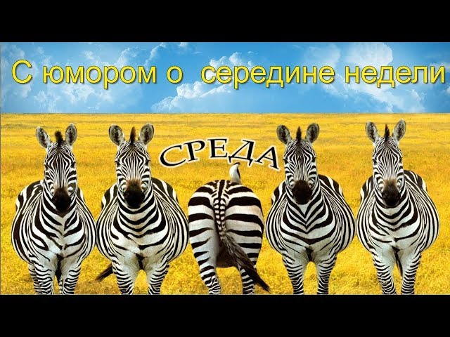 С добрым утром! Чудесной Среды!