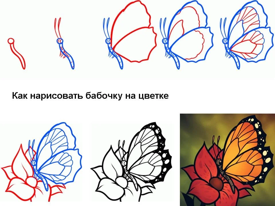 Трафареты бабочка карандашом 