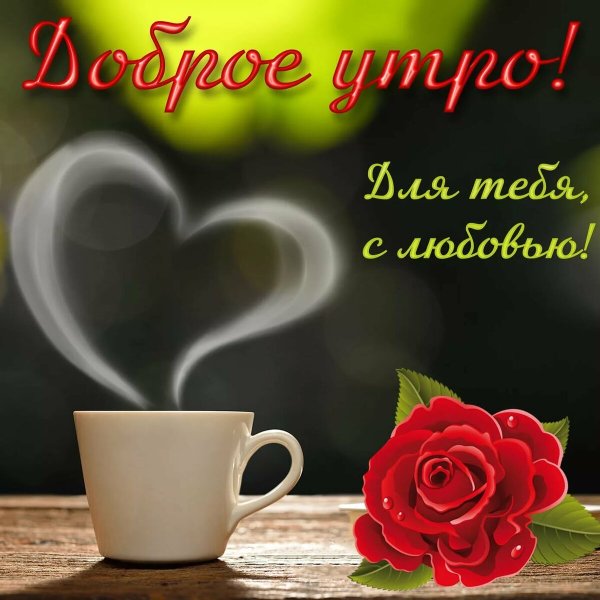 🌹ДОБРОЕ УТРО!🌹 ПРЕКРАСНОЙ ЖЕНЩИНЕ С 