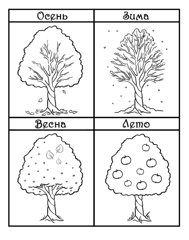 карточка времена года зима осень лето осень