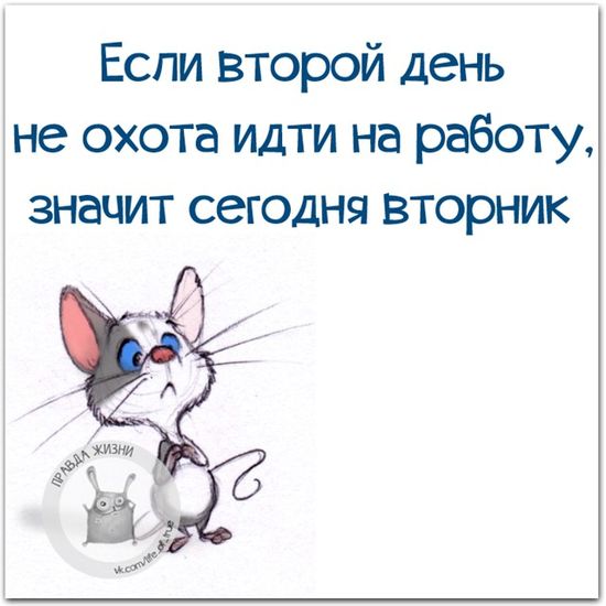 Когда душа уже просит субботы и выходных, а сейчас только 