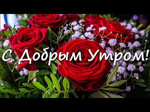 Красивые открытки с добрым утром цветы 