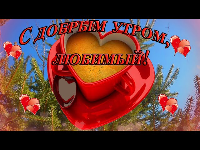 С Добрым Утром Дорогой Мой Человечек 