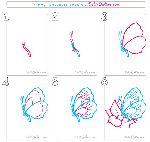 Как нарисовать бабочку карандашом для 
