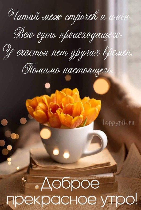 ☕️С Добрым Утром И Хорошего Дня😘 