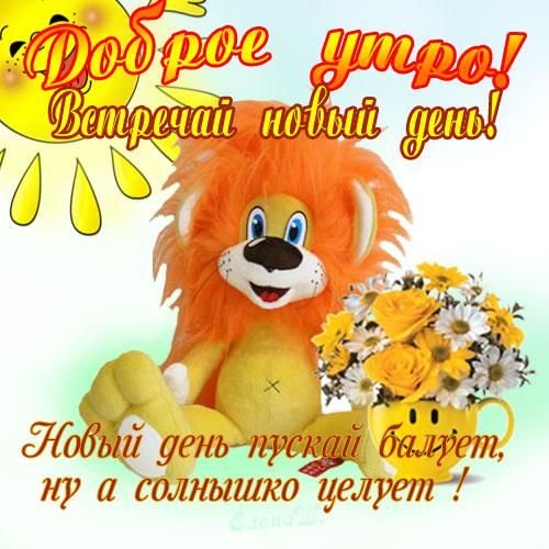 Ну Привет Сынок Родился 