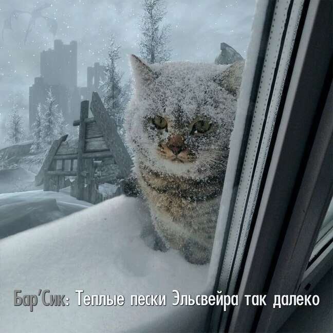 , всю боль которых поймут те 