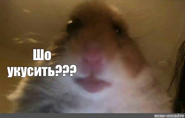 🐹Смешные ХОМЯКИ Tik Tok😛{хомки 2022} яХрумка