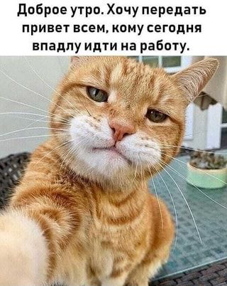 Понедельник На Работу Приколы 