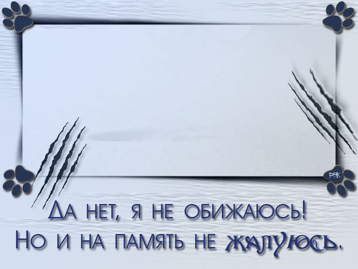 Не стоит обижаться на людей, просто молча делайте выводы 