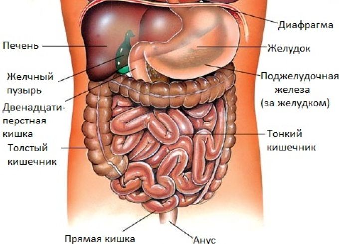 Рак матки