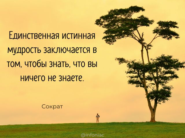 цитатыпрожизнь #цитаты #цитатадня 