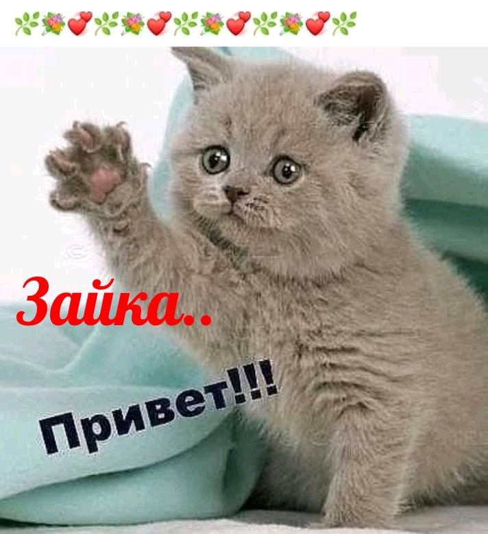 💗 Открытка привет, приветик! Картинка 