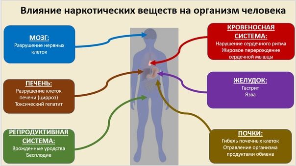 Роль гипоталамуса в терморегуляции 