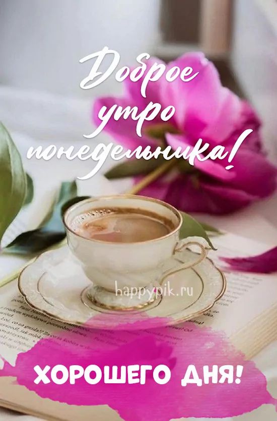 Доброе утро понедельника!☕Хорошего 