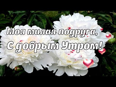 Открытки С Доброе Утро Схорошими 