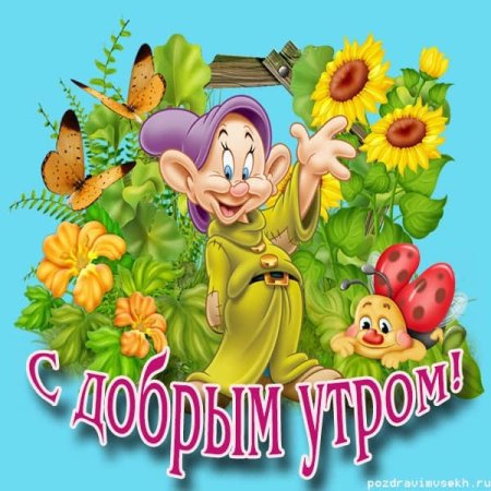 Доброе утро/Good morning