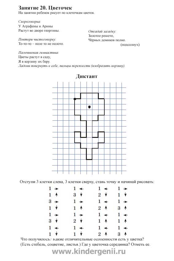 Много рисунков по клеточкам