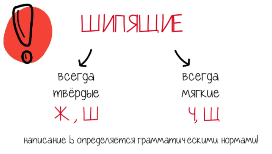 Карта Человека Т⁠—⁠Ж