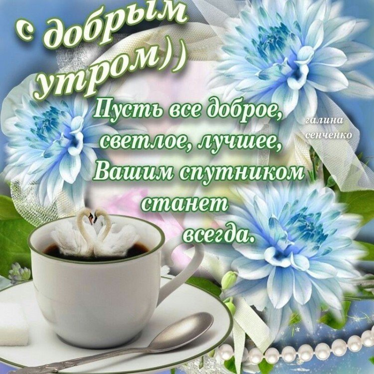 Красивые картинки Доброе утро ☀️☕ 618 шт