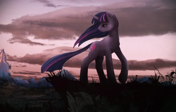 my little pony explore equestria 