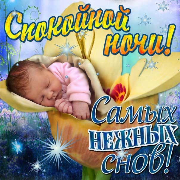 Нежной ночи!