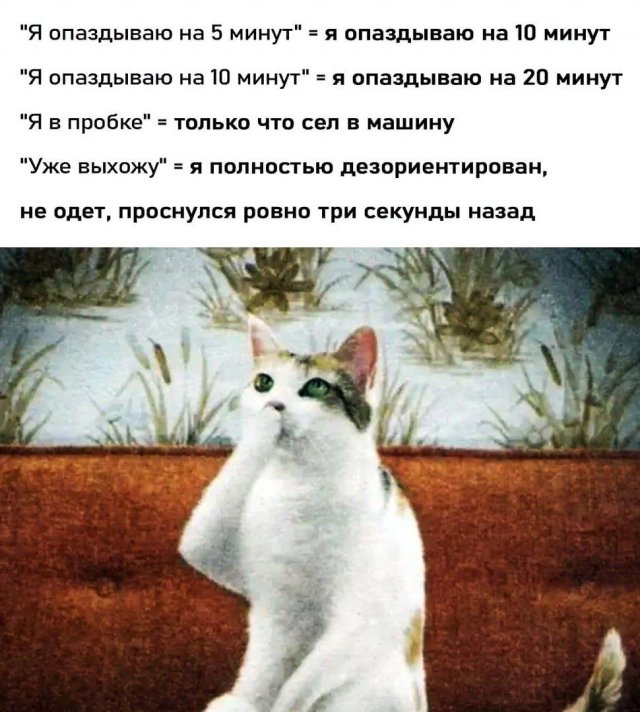 Привет