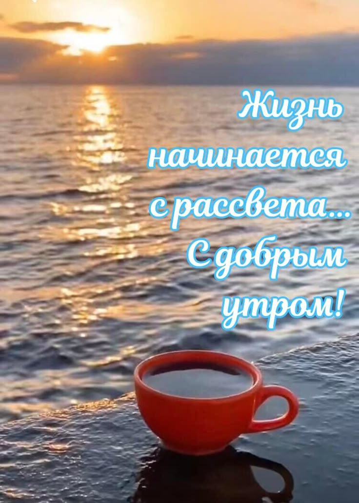 💦🍀☀🌸☀🍀💦 #ЛЕТО☀ Доброе утро, друзья! 😊 ✓11 ИЮЛЯ 2023 