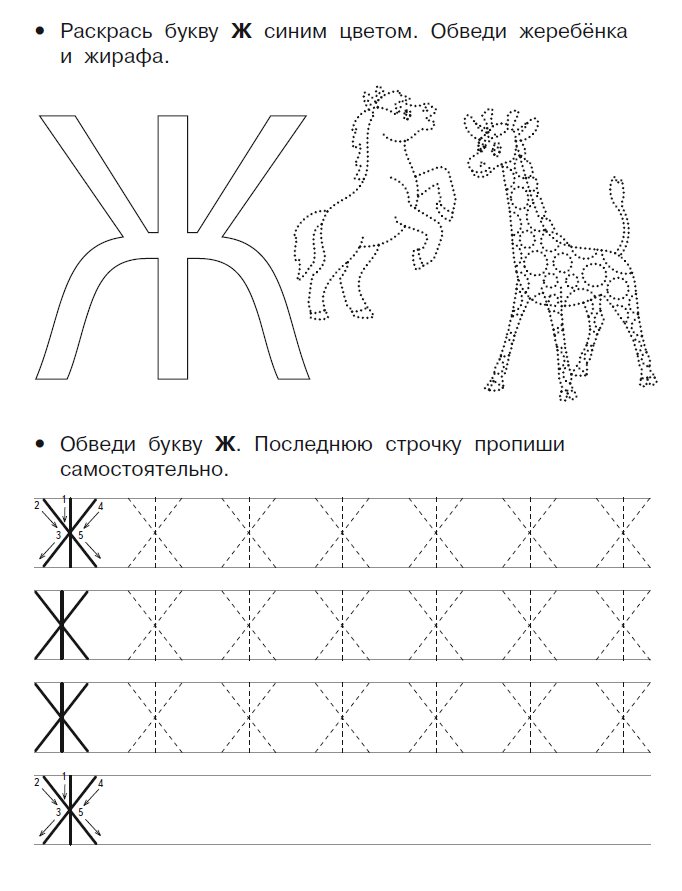 Правило написания «и» после «ч, щ, ж, ш, к, г, х»