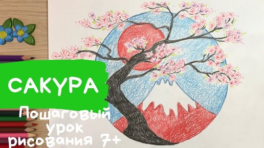 КАК НАРИСОВАТЬ САКУРА ХАРУНО 