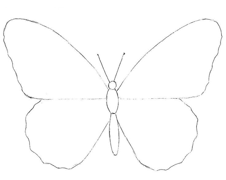 Как нарисовать БАБОЧКУ для детей 
