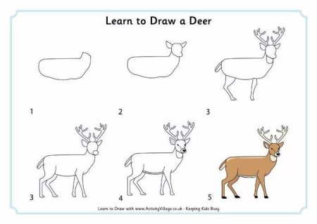 Рисунок оленя карандашом легко поэтапно 