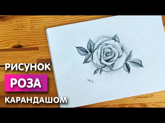 Рисунки цветы для срисовки