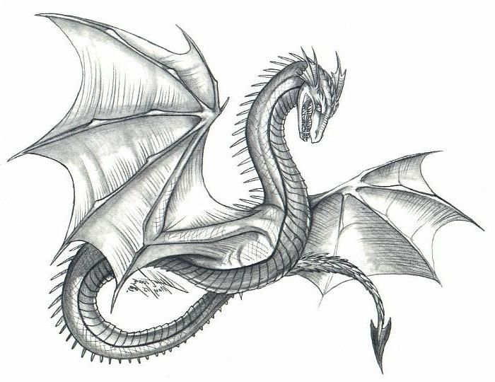 Fire Dragon Drawings 