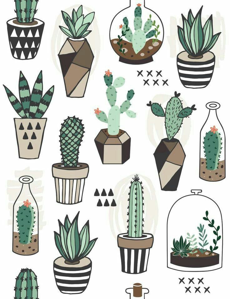 Page de cactus