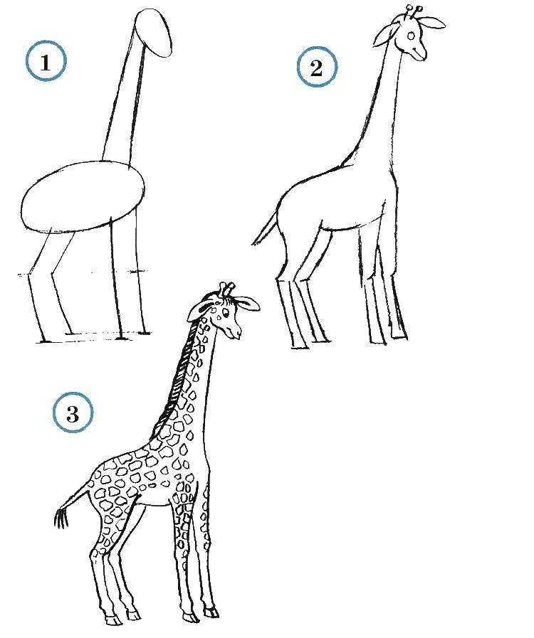 Идеи на тему «Жираф» 100 
