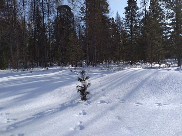 Австрия зимой – лыжи, термы, озера 